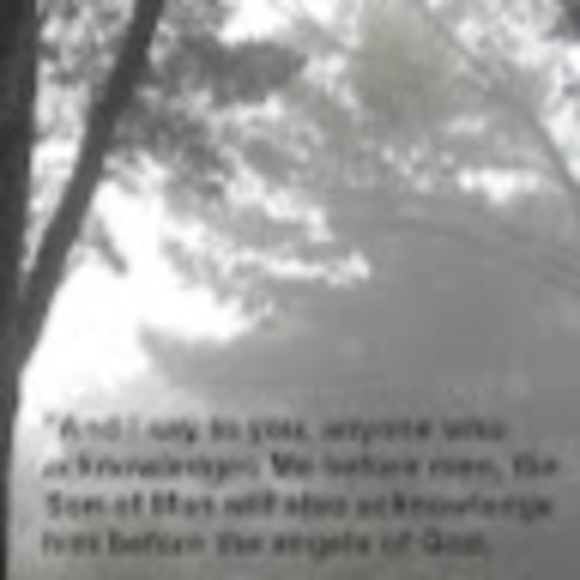 Meet your Posher, Bianca - Picture 1 of 1